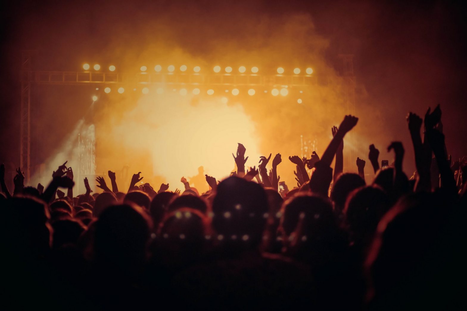music audience